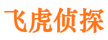 南漳外遇调查取证